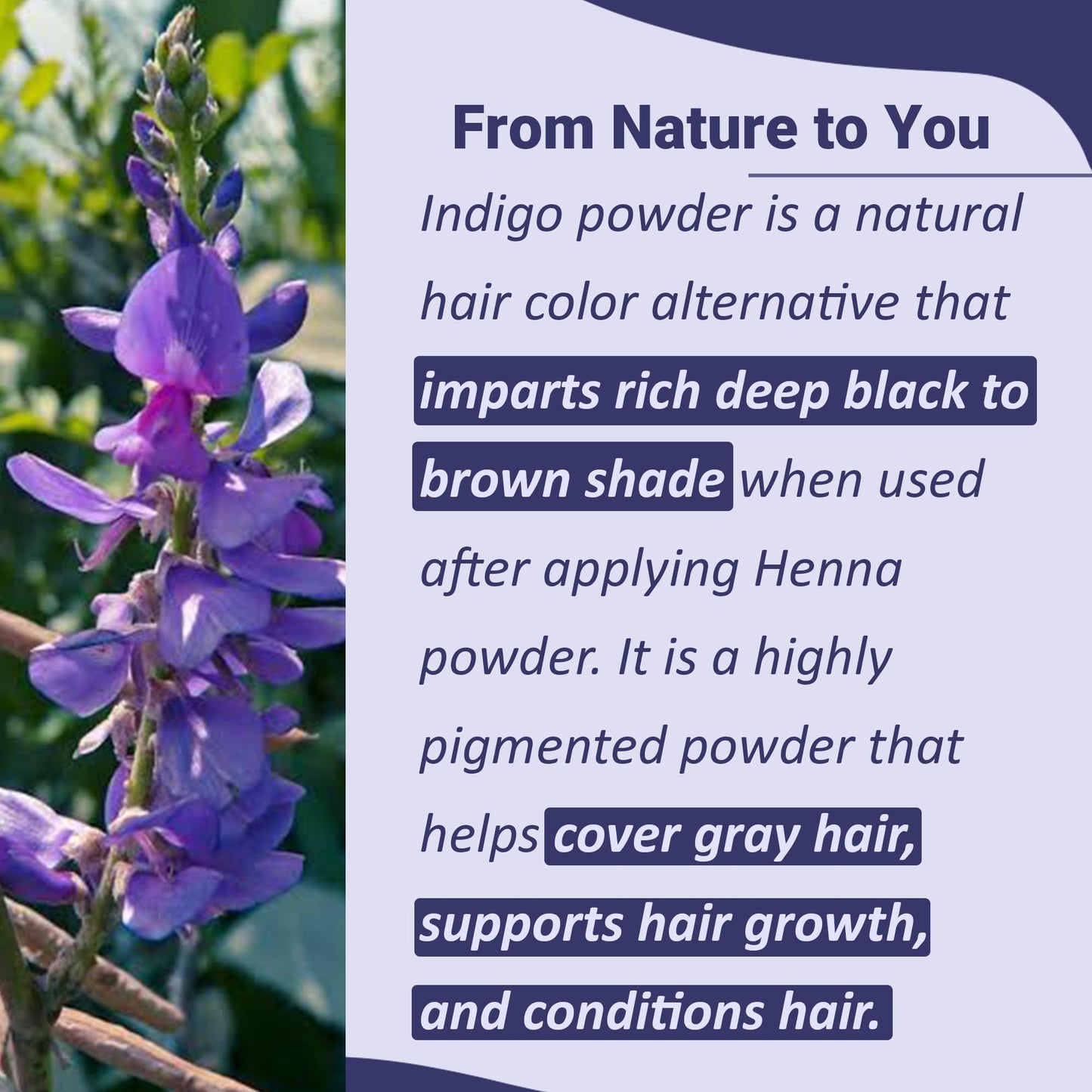 Natural Indigo Powder - 114g (4 oz) -Indigofera Tinctoria, Rajasthani Indigo Powder for hair dye, Natural hair color by mi nature Beauty & Personal Care minature
