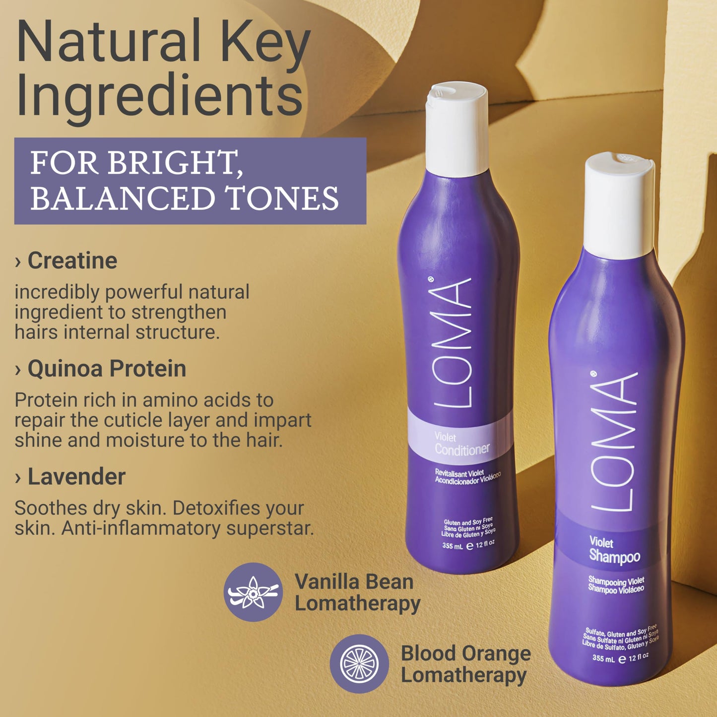 Loma Hair Care Violet Shampoo Violet Conditioner Duo, 33.8 Fl Oz each Beauty & Personal Care Loma