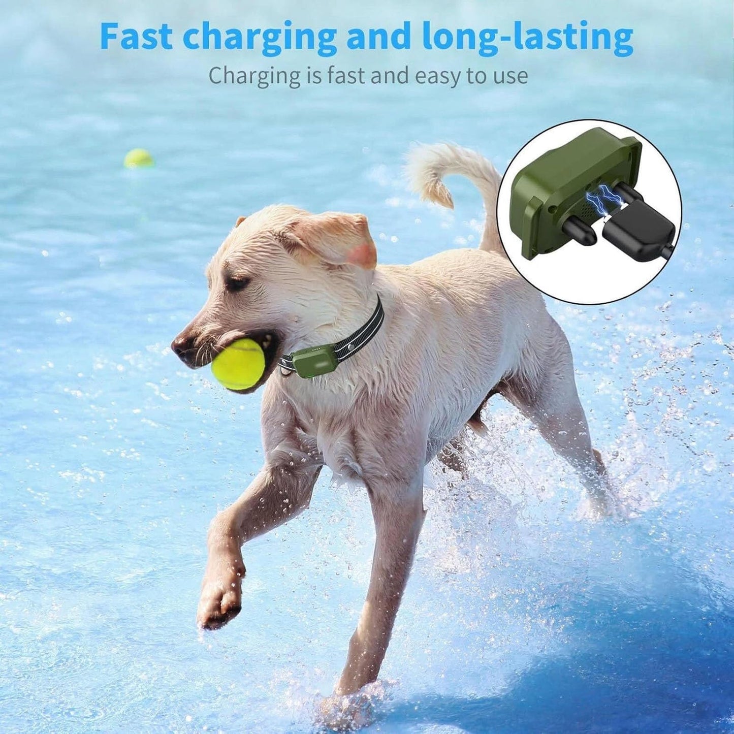 Charger Cord Replacement for Jugbow DT-61 Training Collar Beauty and Personal Care DAGIJIRD