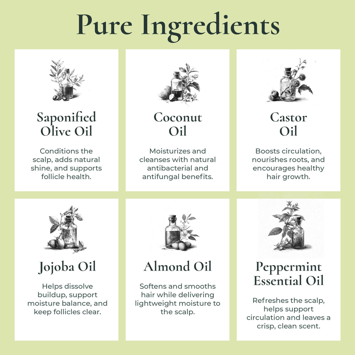 J.R.LIGGETT'S All-Natural Shampoo Bar, Supports Strong & Healthy Hair (Jojoba & Pepperm, 2-Pack)