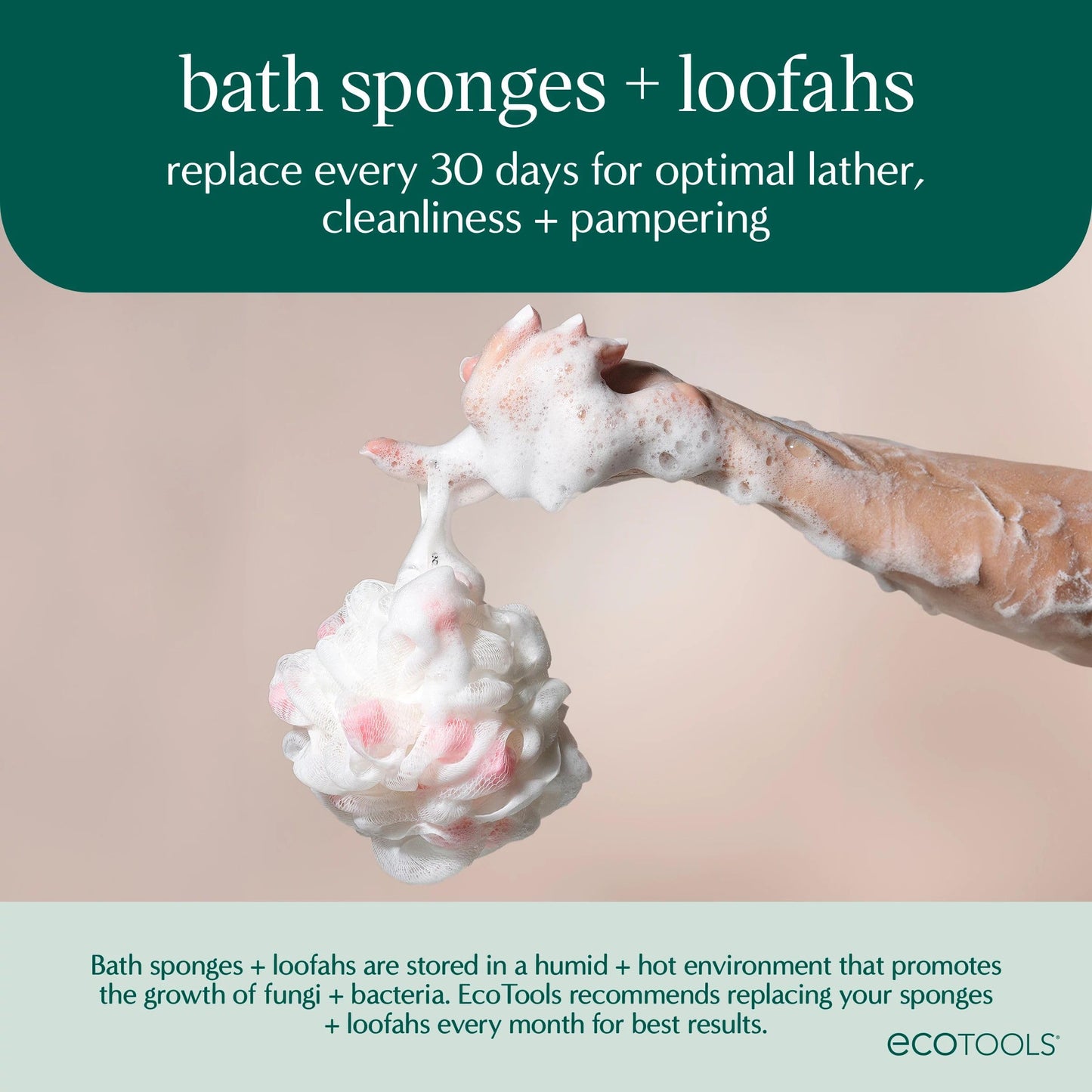 EcoTools 6 Pack Bath Cloth, Exfoliating Washcloth for Shower & Bath, Expands Up to 3 Feet, Remove Dry Skin, Body Scrubber for Exfoliation & Deep Beauty and Personal Care EcoTools