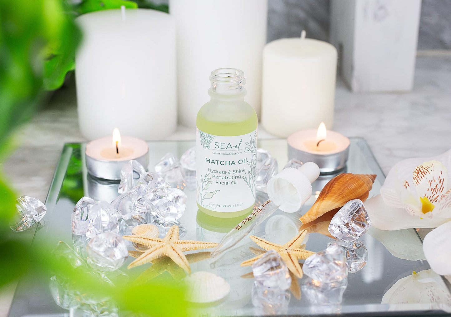 Sea-El Matcha Face Oil Skincare - Hydrating Glow Green Tea & Sea Kelp Facial Oil Blend - Calming & Deeply Penetrating Antioxidant-Rich Moisturizer Beauty & Personal Care Sea-El
