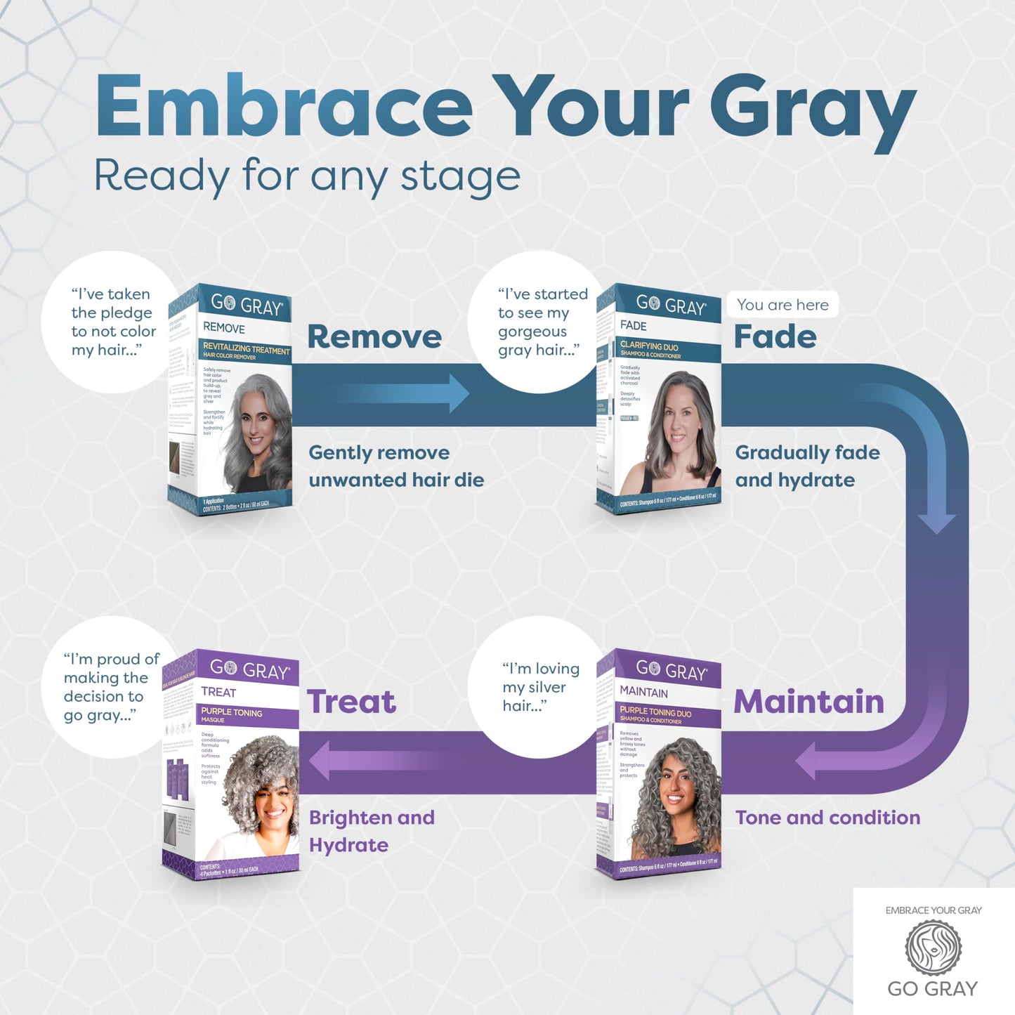 Go Gray Treatment System (Fade), Clarifying Duo Shampoo & Conditioner Helps Gradually Fade Permanent and Semi-Permanent Hair Color Beauty & Personal Care Go Gray