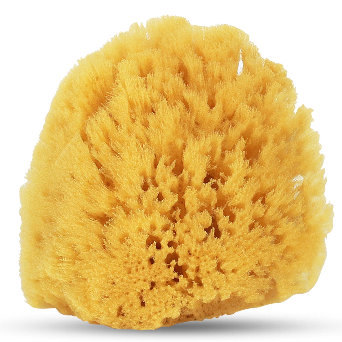 HartFelt Gentle Exfoliation Yellow Sea Sponge 4in - Natural Shower Sponges for Bathing for Men and Women - Rich Lather Beauty and Personal Care HartFelt
