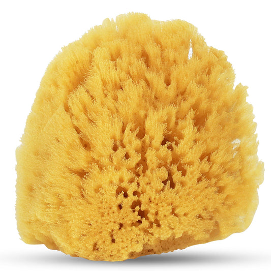 HartFelt Gentle Exfoliation Yellow Sea Sponge 4in - Natural Shower Sponges for Bathing for Men and Women - Rich Lather Beauty and Personal Care HartFelt