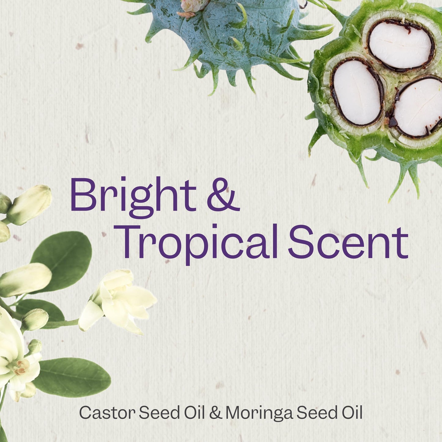 Renpure Castor Oil & Moringa Shampoo and Conditioner Set, Plant-Based*, Curl Enhancing, Moisturized, Manageable & Frizz-Free Curls -Castor & Moringa Beauty & Personal Care RENPURE