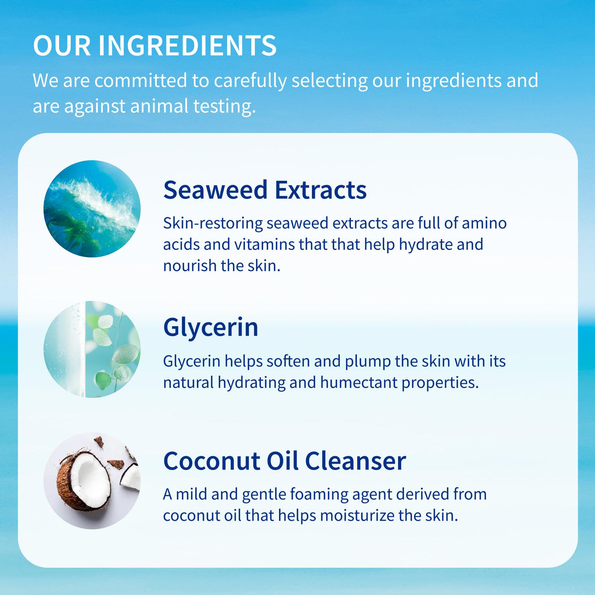Inis the Energy of the Sea Refreshing Bath and Shower Gel - Travel Size Body Wash for Women and Men - Ocean Fresh Fragrance - 2.9 Fl Oz Beauty & Personal Care Inis the Energy of the Sea
