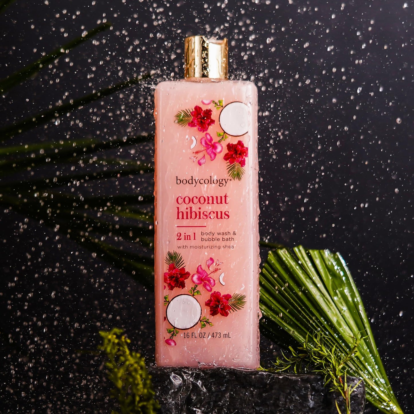 Bodycology Coconut Hibiscus Moisturizing Body Wash for Women, 16 Ounce Beauty & Personal Care Bodycology