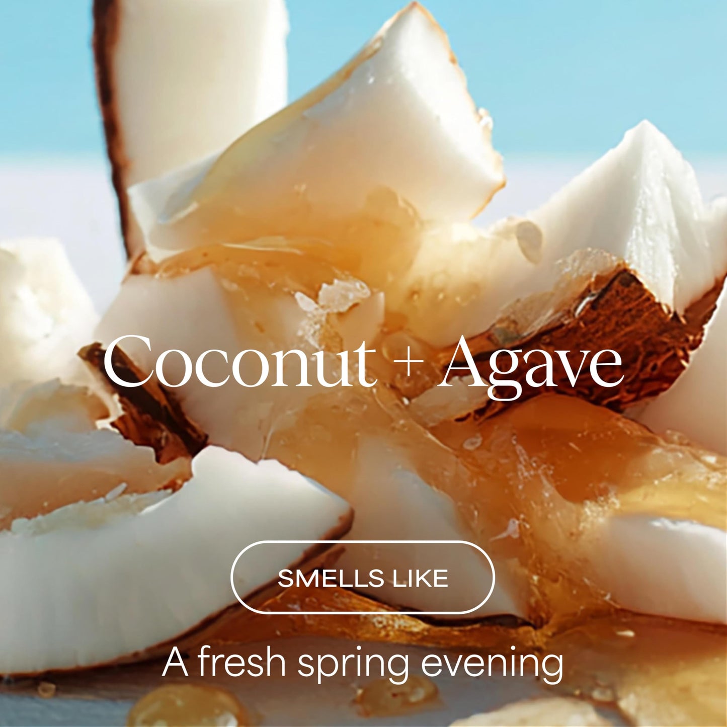Raw Sugar Leave In Conditioner Duo, The Multi Miracle Hair Mist & The Mighty Curl Cream (2 Products) Heat Protectant, Hydration and Frizz Control Beauty & Personal Care RAW SUGAR