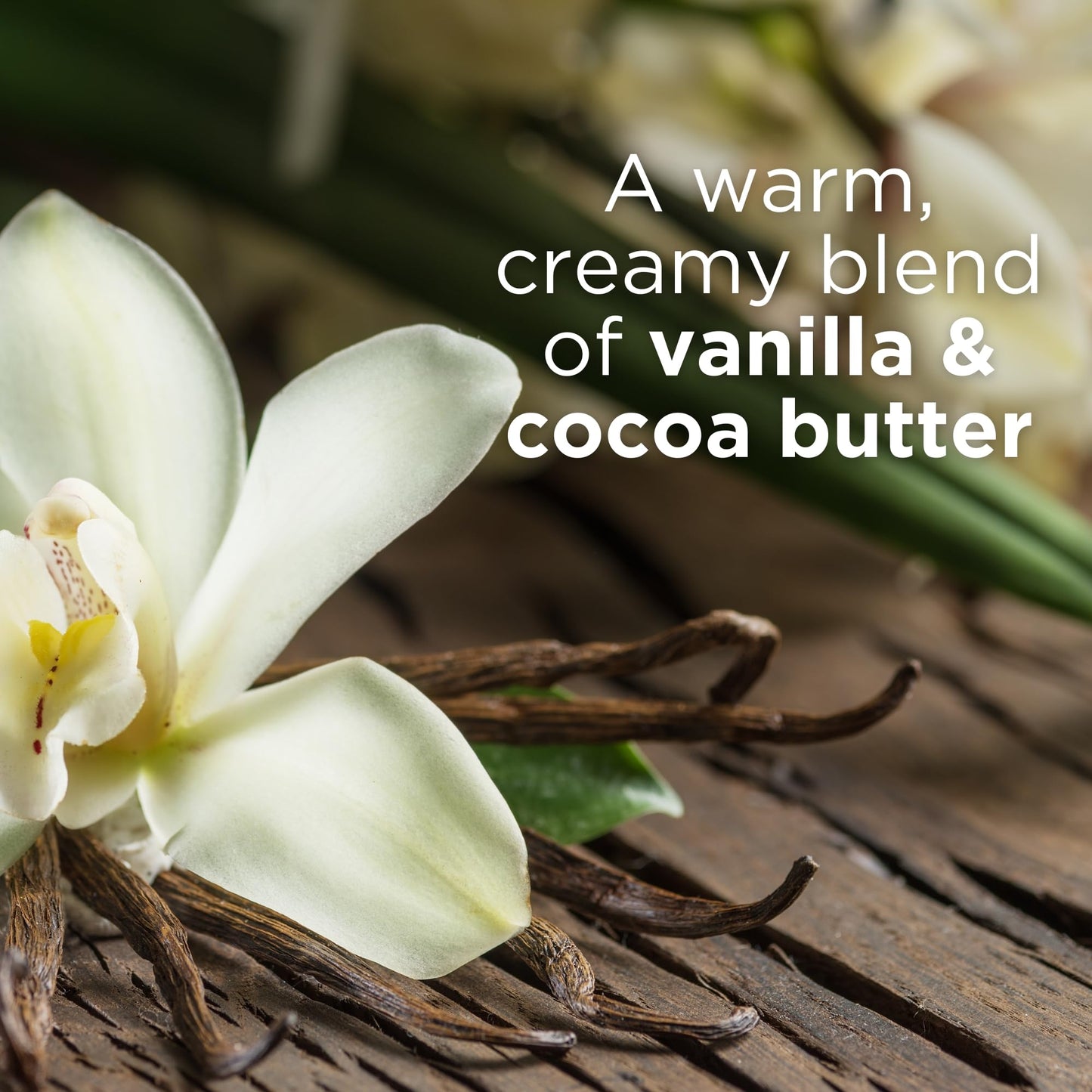 Andalou Naturals Body Butter, Kukui Cocoa Nourishing Body Cream, 8 Oz, Shea Butter, Cocoa Butter & Argan Oil for Dry Skin, Vegan Beauty & Personal Care Andalou Naturals