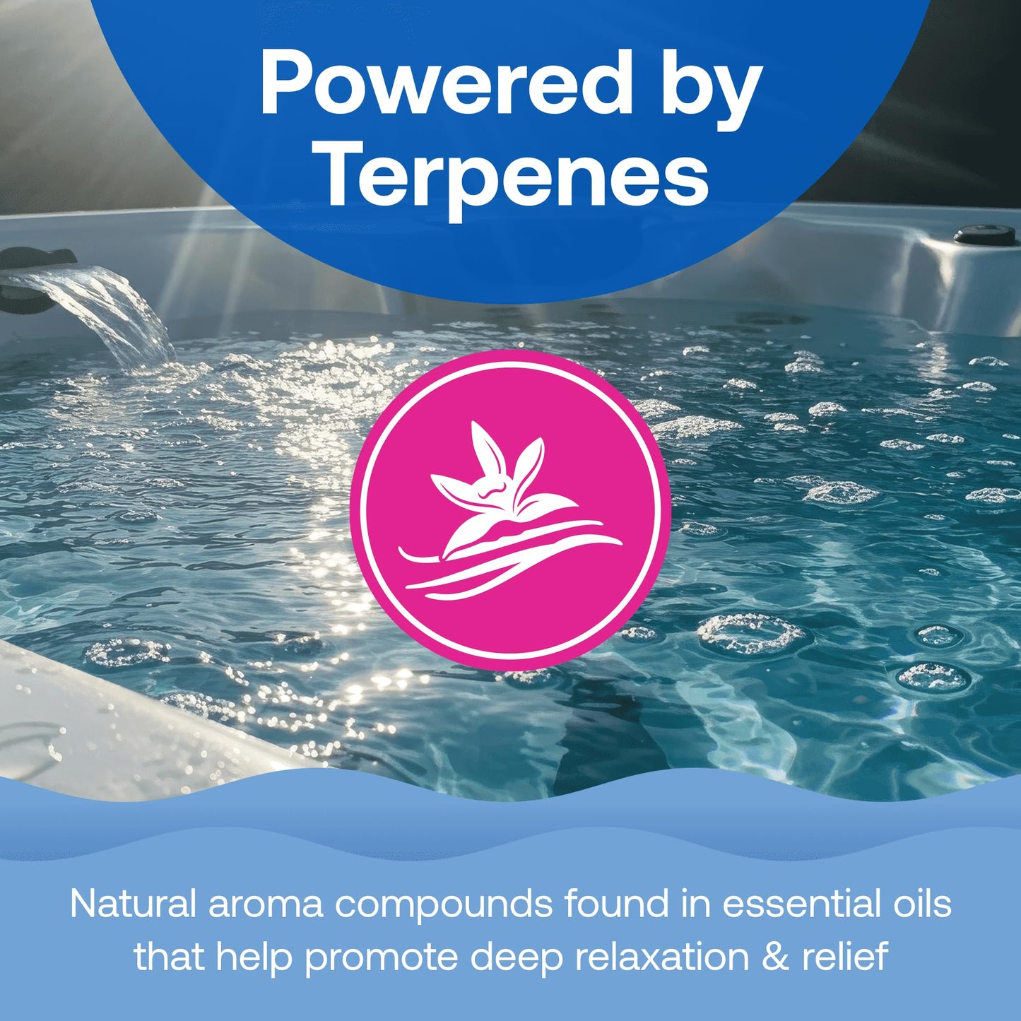 HTH Spa 86001 Wellness Aromatherapy Muscle & Joint Relief for Spas & Hot Tubs, 1lb Beauty and Personal Care hth Spa