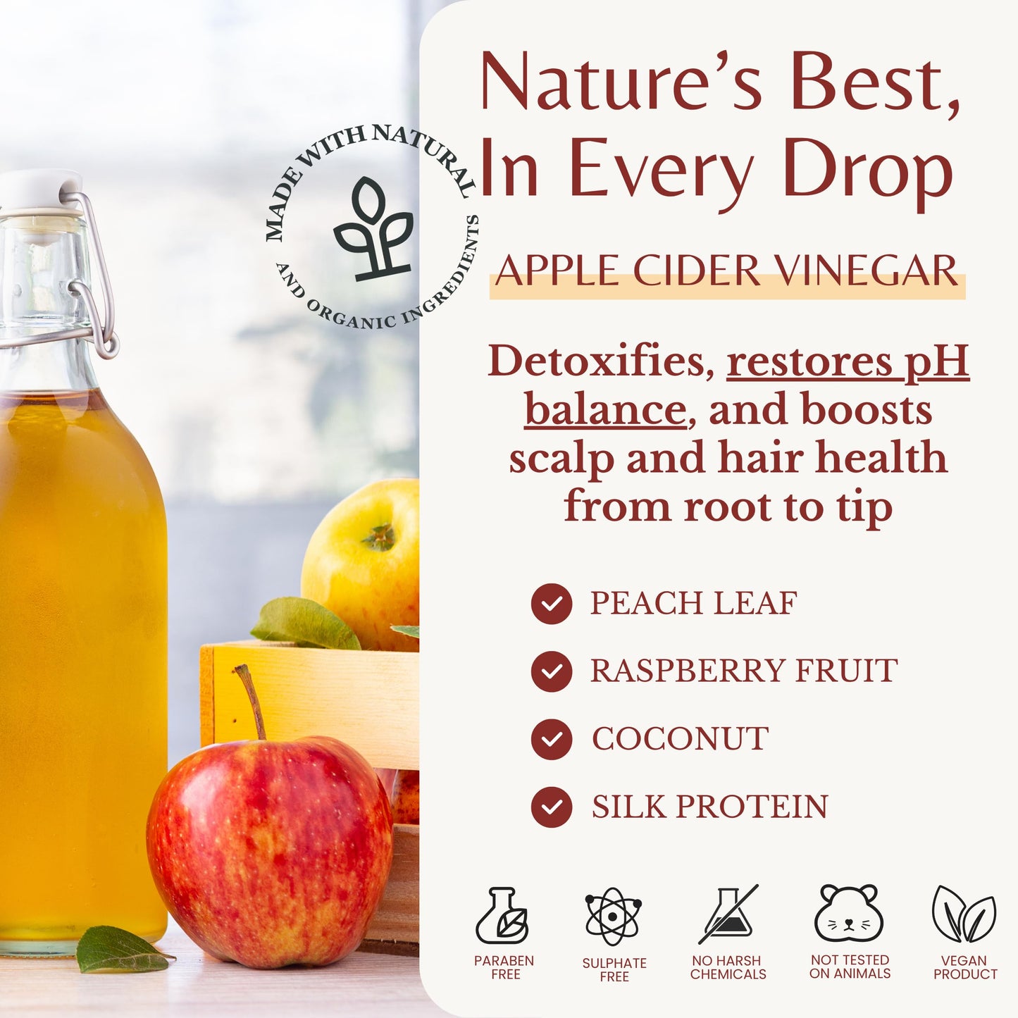 Edenika Botanicals Apple Cider Vinegar Shampoo and Conditioner Set, Deep Cleans, Clarifies, Detoxes Scalp & Hair, Balances pH, Botanical, Sulfate Beauty & Personal Care EDENIKA BOTANICALS