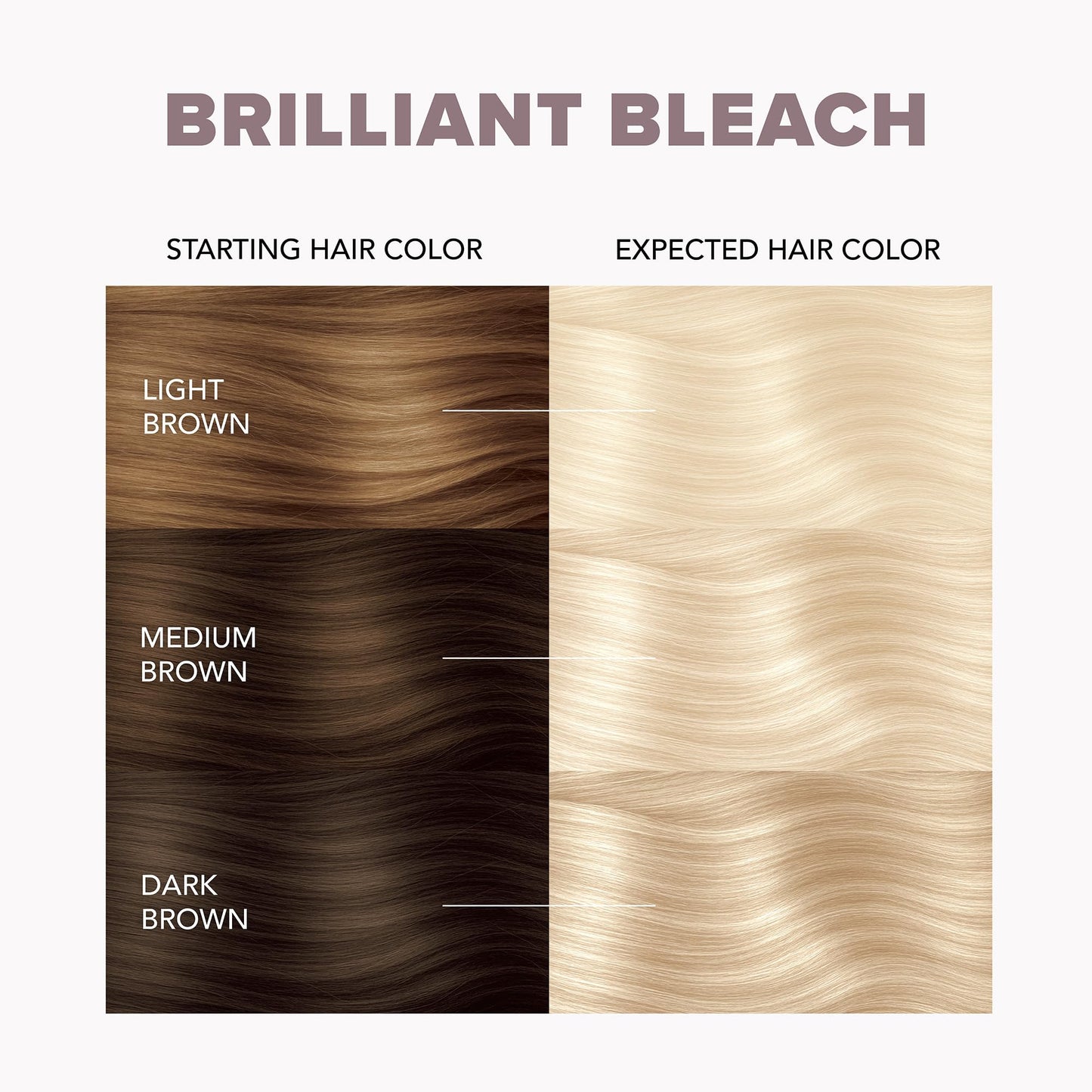 Splat Brilliant Bleach Kit, 1 Application, Includes Oxide, Bleach, Purple Toning Shampoo & Purple Toning Conditioner, Hair Bleach Kit Lifts up to 8 Beauty & Personal Care Splat