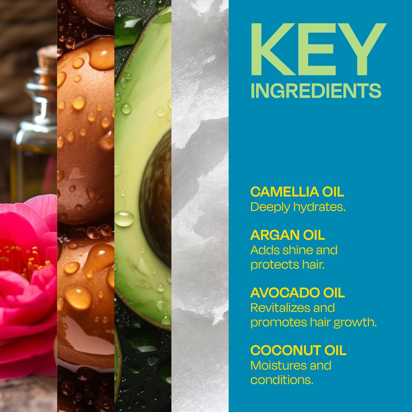 LOCK'N SLEEK Braid Gel (5 oz), Extreme Hold, Flake-Free, High Shine Edge Control - Argan, Camellia, Avocado Oil - For Locks, Braids, Twists, Cornrows Beauty & Personal Care LOCK'N SLEEK