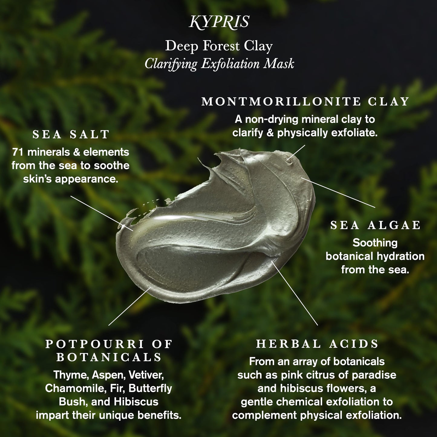 KYPRIS, Deep Forest Clay Clarifying Exfoliation Mask, Physical & Acid Exfoliation, Clarifying Clay & Soothing Botanicals (1.55 fl oz / 46 ml) Beauty & Personal Care KYPRIS