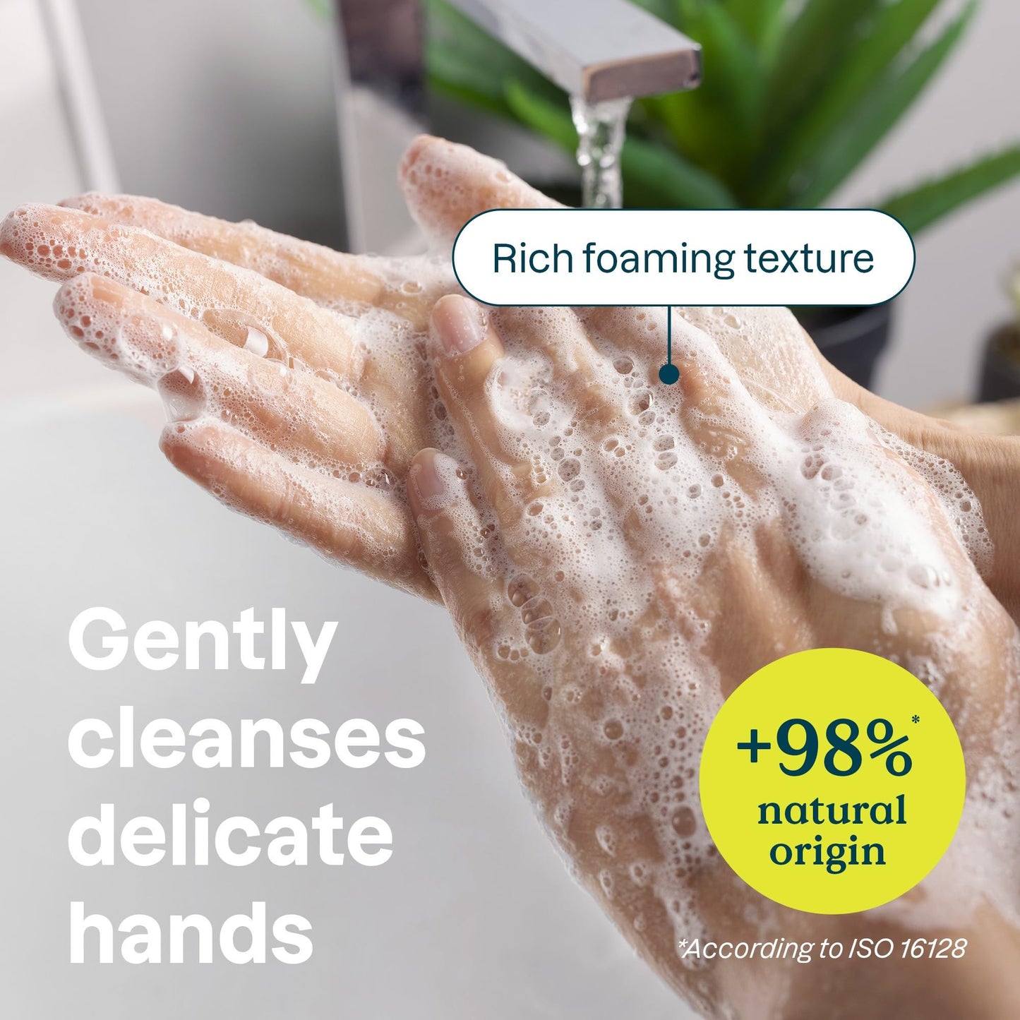 ATTITUDE Hand Soap for Sensitive Skin with Oat, EWG Verified, Dermatologically Tested, Vegan, Fresh Apple Scent, 16 Fl Oz Beauty & Personal Care ATTITUDE
