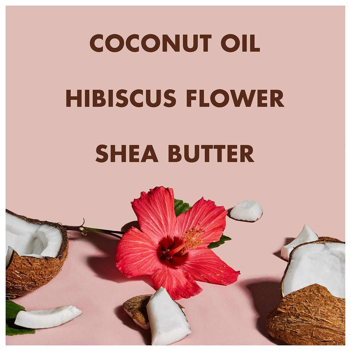 S/M COCO HIB COND CURL MILK 8OZ Beauty & Personal Care SheaMoisture