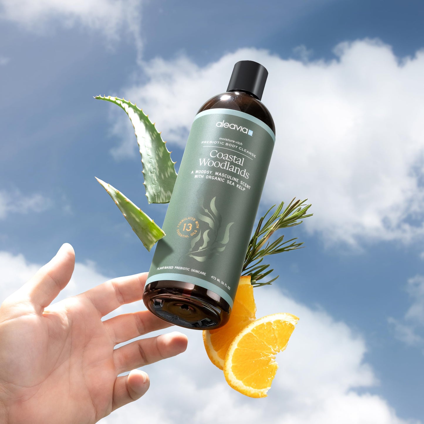 Aleavia Coastal Woodlands Mens Body Cleanse - Organic & All-Natural Prebiotic Body Wash for Men, Woodsy Notes Scented with 13 Essential Oils Beauty & Personal Care Aleavia
