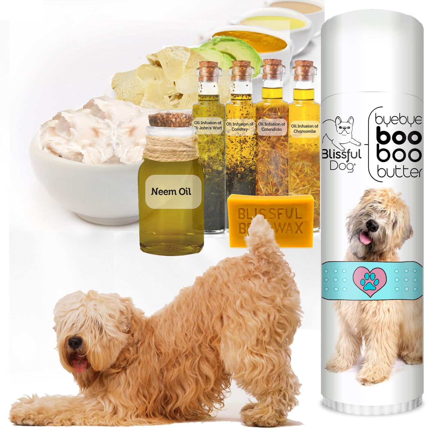 The Blissful Dog Soft Coated Wheaten Terrier Boo Boo Butter, 0.50 Ounce Beauty and Personal Care The Blissful Dog
