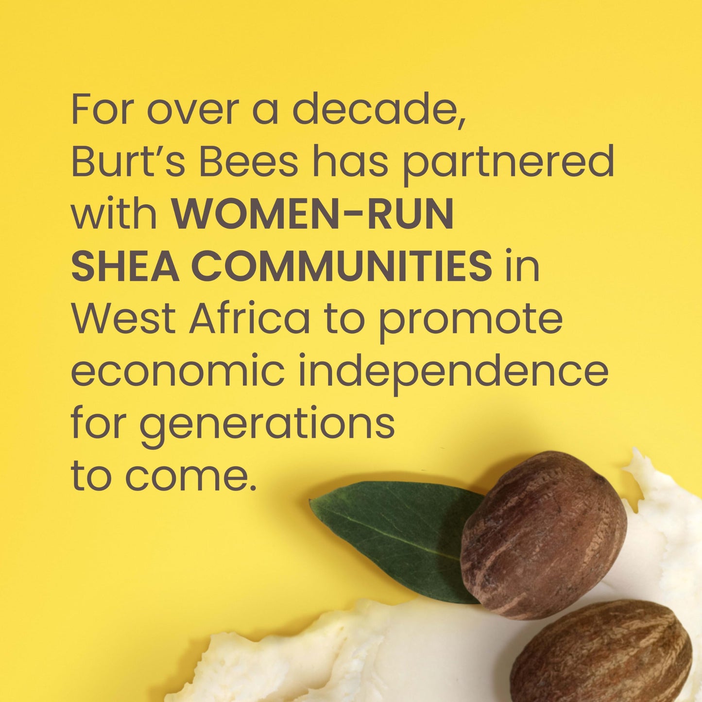 Burt's Bees Shea and Aloe Moisturizing Lip Balm, Lip Moisturizer With Responsibly Sourced Beeswax, Tint-Free, Natural Origin Conditioning Treatment, 4 Beauty and Personal Care Burt's Bees