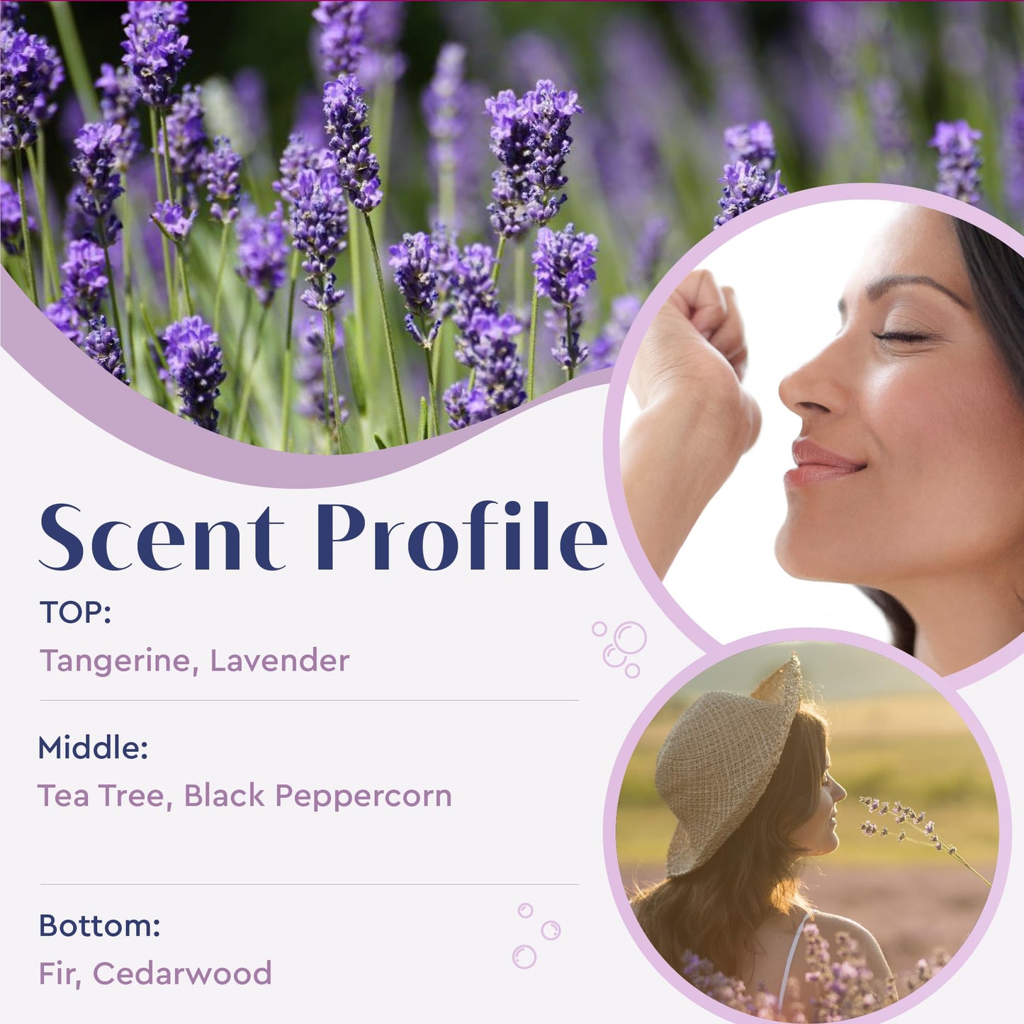 Baudelaire Lavender Honey Soap Set - Luxurious Vegetable-Based Bars with 2% Honey, Hydrating Lanolin & Nourishing Goat's Milk, Warm Lavender Scent Beauty & Personal Care Baudelaire