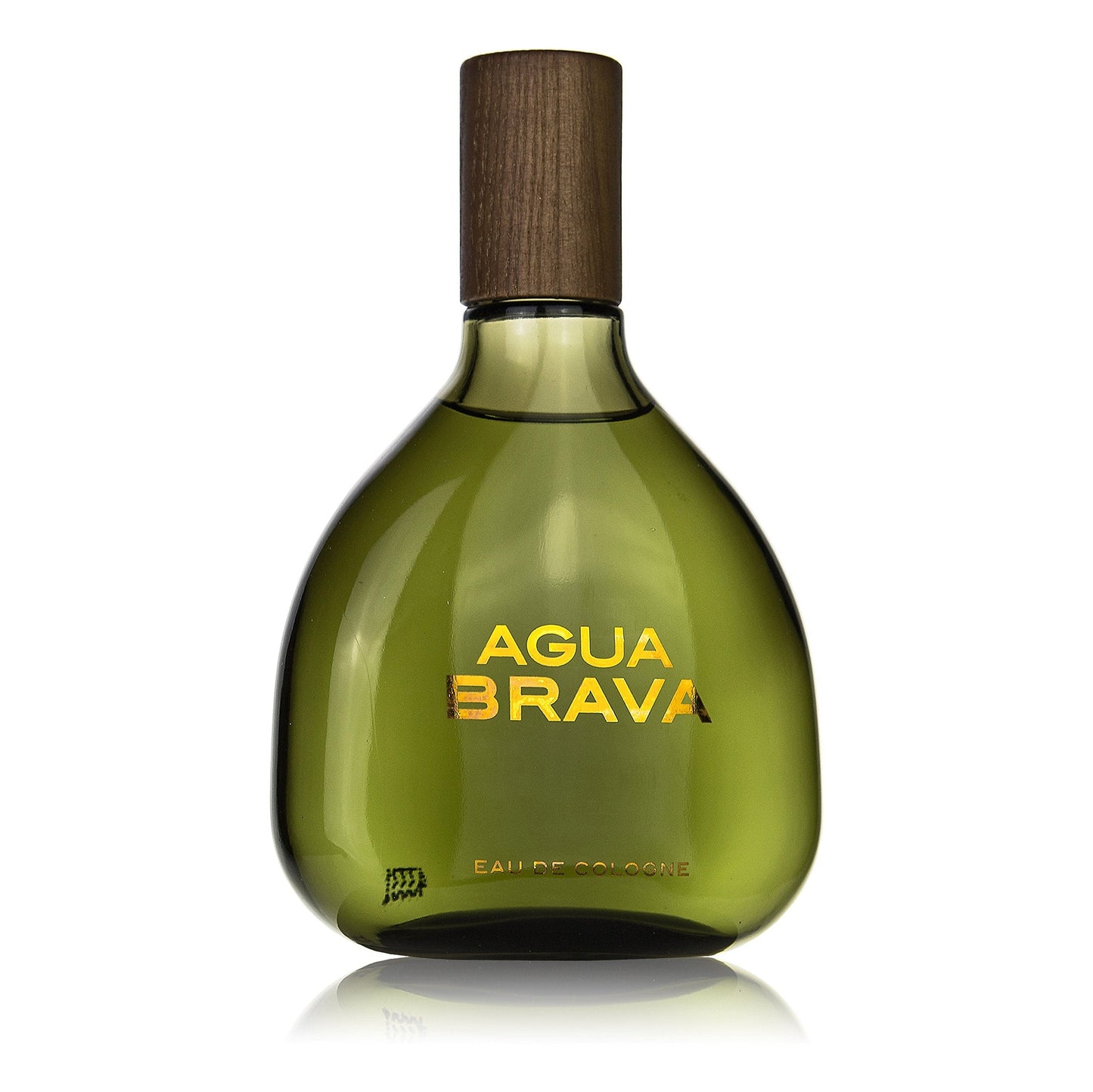 Puig AGUA BRAVA by Antonio Cologne 3.4 oz for Men Beauty & Personal Care Puig