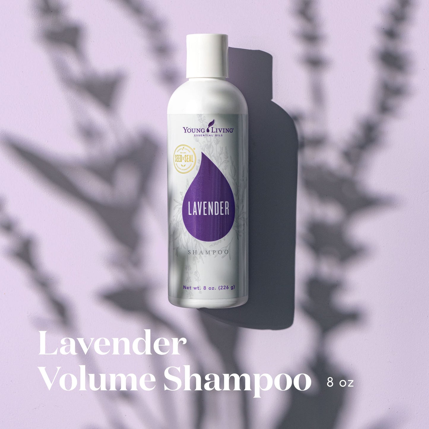 Young Living Lavender Volume Shampoo Essential Oils - Cleanses and Nourishes Fine Hair - 8 fl oz - Gently Cleanses Fine Hair for a Boost of Body Beauty & Personal Care Young Living
