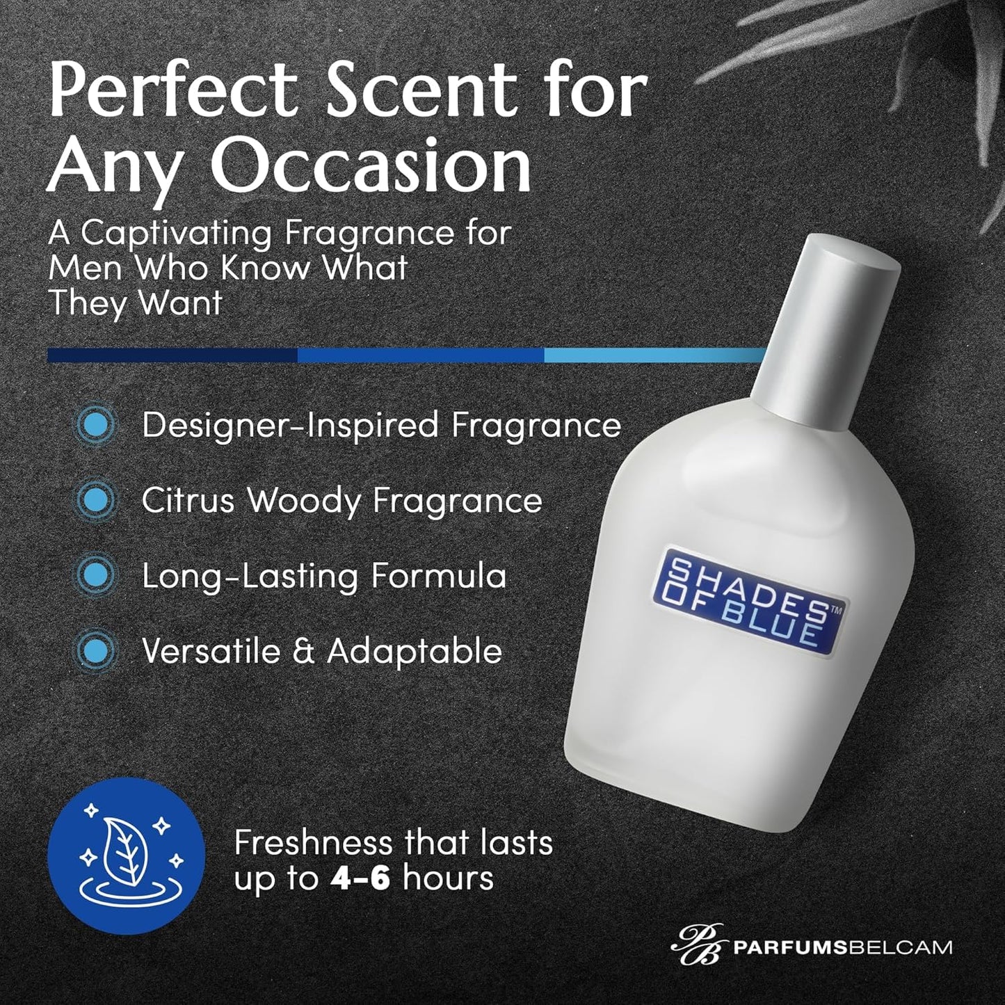 PB ParfumsBelcam Shades of Blue for Men, Our Version of Prestige Designer Eau de Toilette Spray, 100 mL. Beauty & Personal Care PB ParfumsBelcam