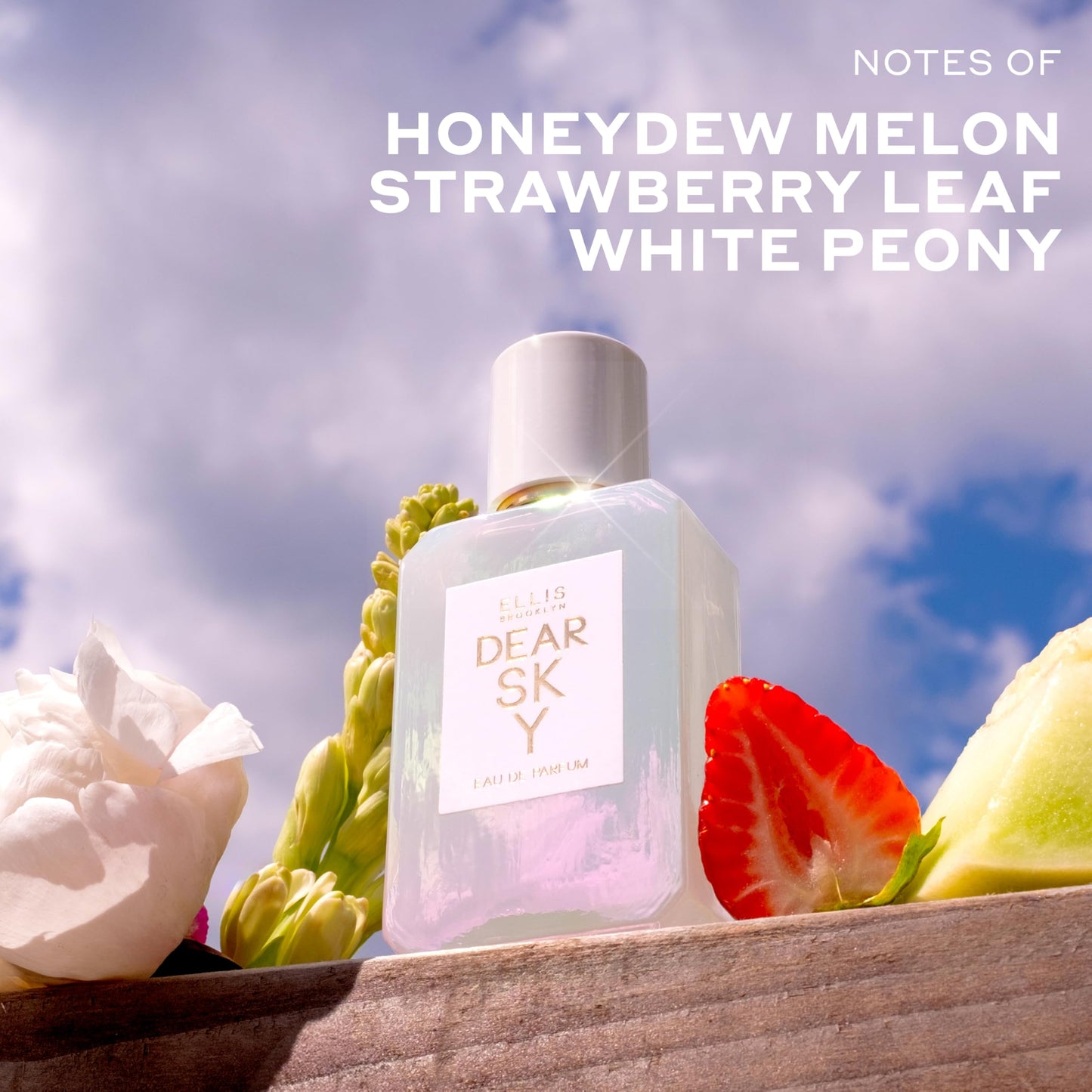 Ellis Brooklyn DEAR SKY Eau de Parfum - Fruity Floral Perfume for Women, Honeydew Melon, White Peony & Upcycled Cedarwood, Clean, Vegan, Cruelty-Free Beauty & Personal Care Ellis Brooklyn