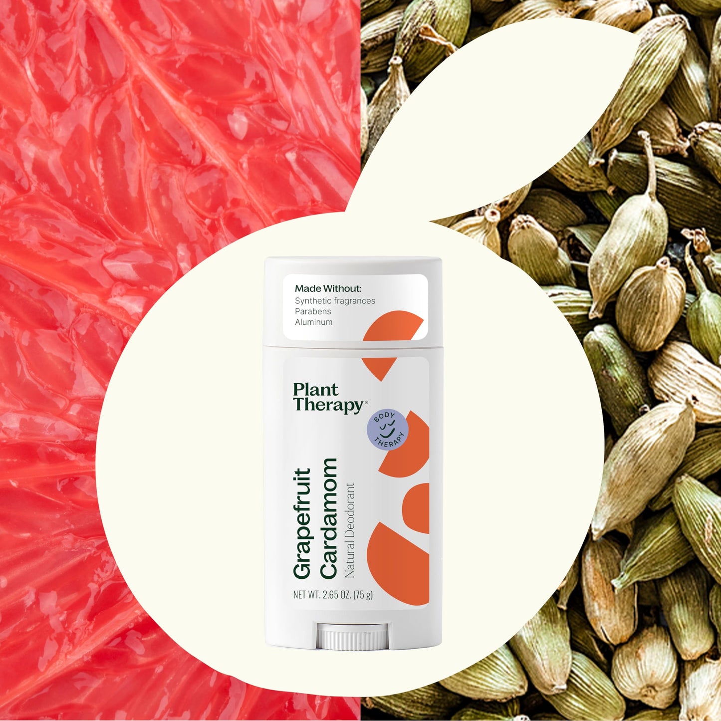 Plant Therapy Grapefruit Cardamom Natural Deodorant for Men & Women 2.65 oz Aluminum Free, Cruelty Free, Smooth Application, Long Lasting Odor Control Beauty and Personal Care Plant Therapy