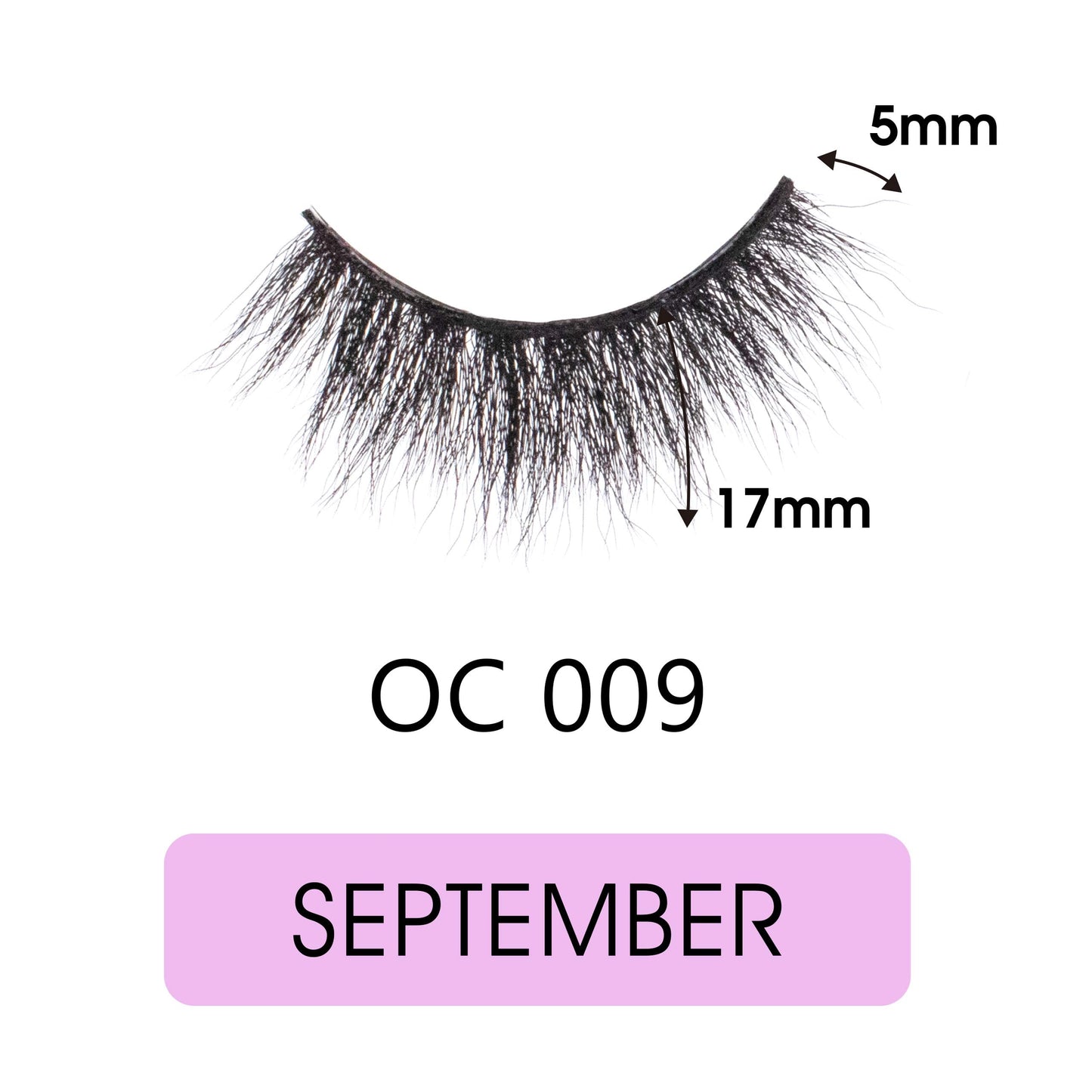 September - Wonder Cat 3D Faux Mink Lashes Beauty & Personal Care EBIN NEW YORK