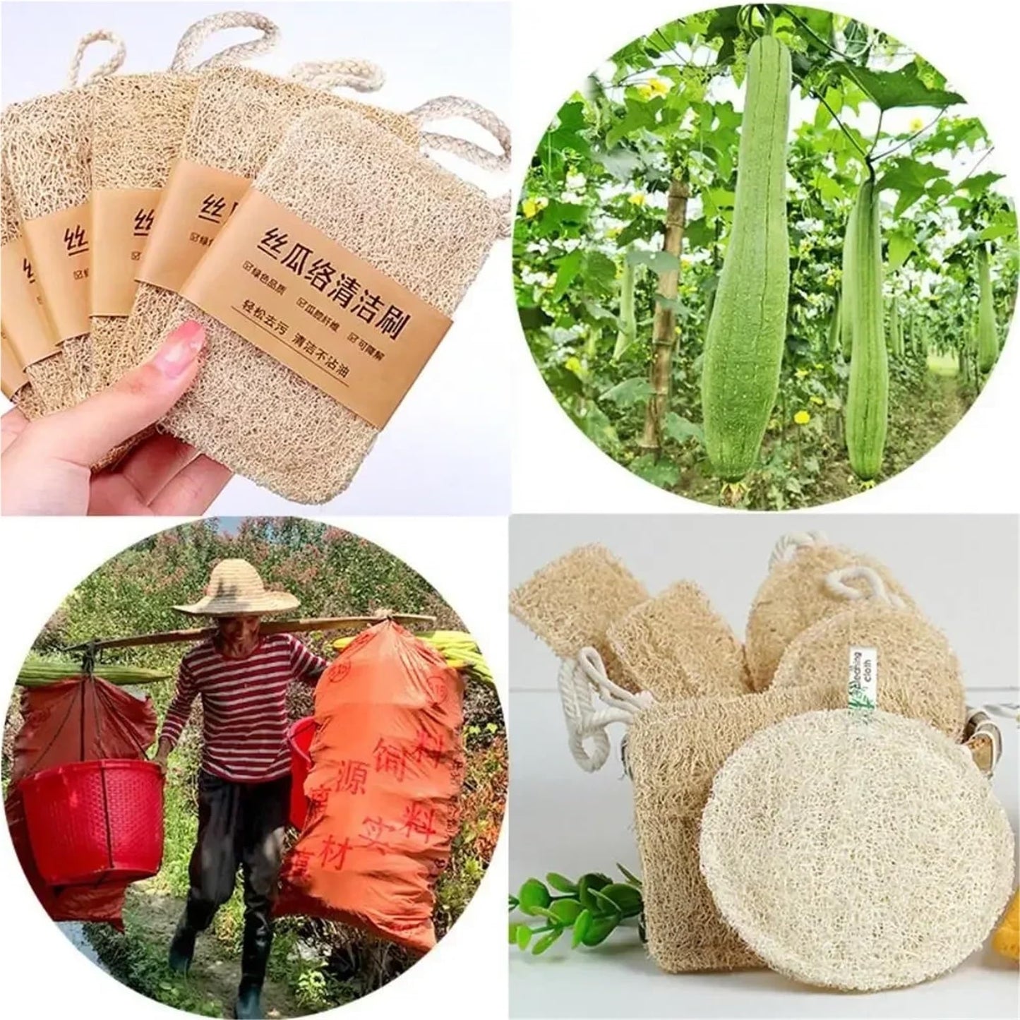 5PCS Natural Loofah Dishwashing Brush Double-Sided Easy to Clean Dishwashing Cloth Quick Drying Nonstick Loofah Cleaning Brush Beauty and Personal Care HIVJEEDYH
