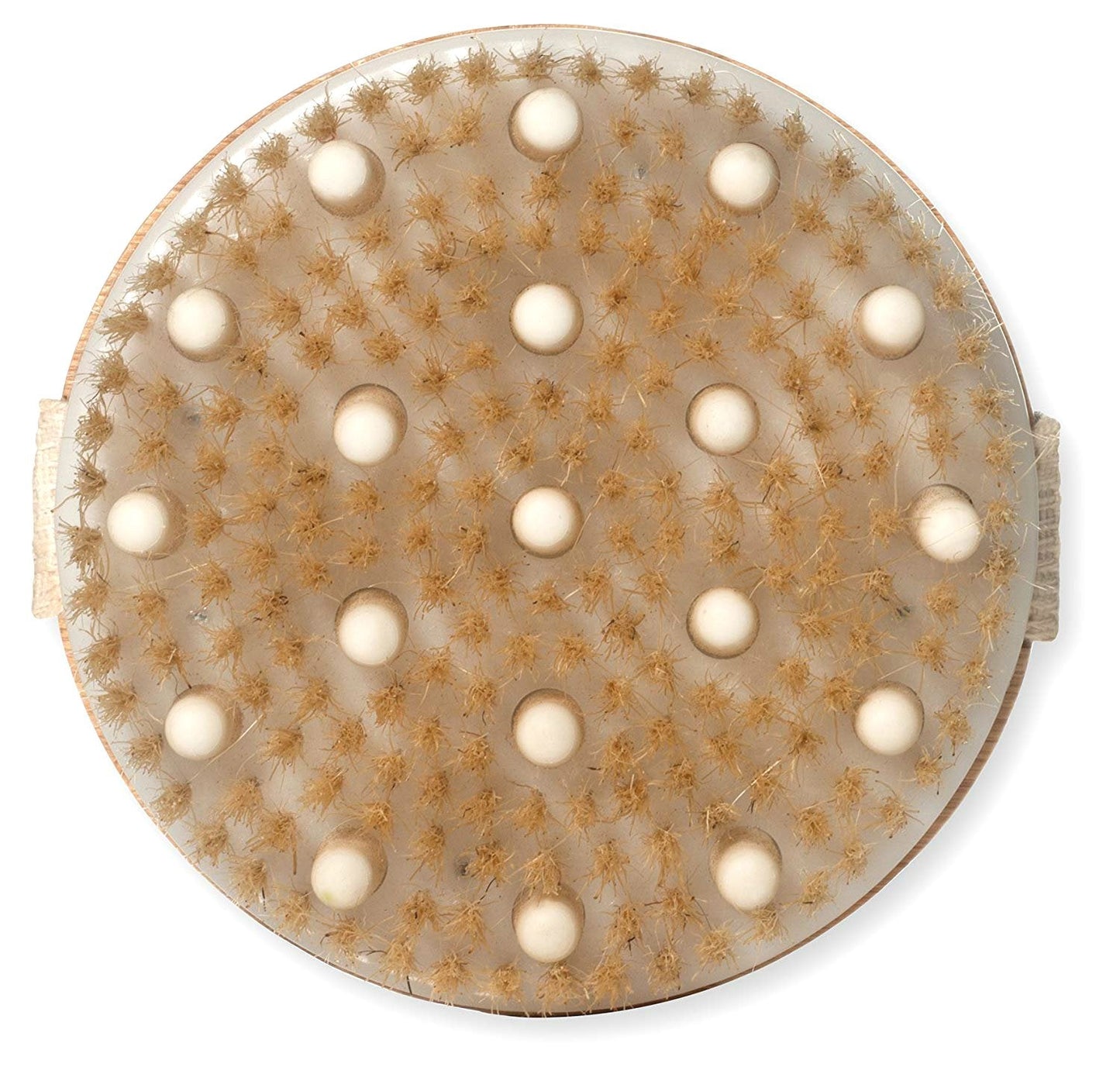 AKOAK Wet or Dry Brushing Body Brush,Gentle Massage Nodes Natural Bristle Body Brush,Exfoliate Skin,Cellulite Treatment, Stimulates Circulation Beauty and Personal Care AKOAK