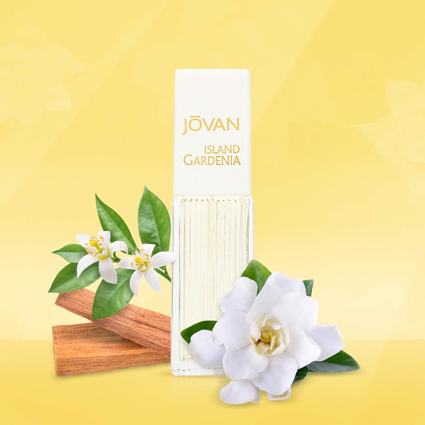 Jovan Island Gardenia Eau de Cologne Spray 1.5 fl oz (Pack of 1), Notes of Neroli, Gardenia, and Sandalwood, Women's Fragrance, Long Lasting, Everyday Beauty & Personal Care Jovan