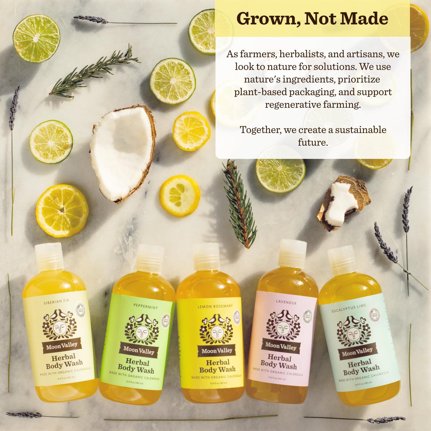Herbal Body Wash, Lemon Rosemary by Moon Valley, All Natural Ingredients, No Parabens, Vegan, Moisturizing Essential Oils, Two Pack Beauty & Personal Care Moon Valley Organics