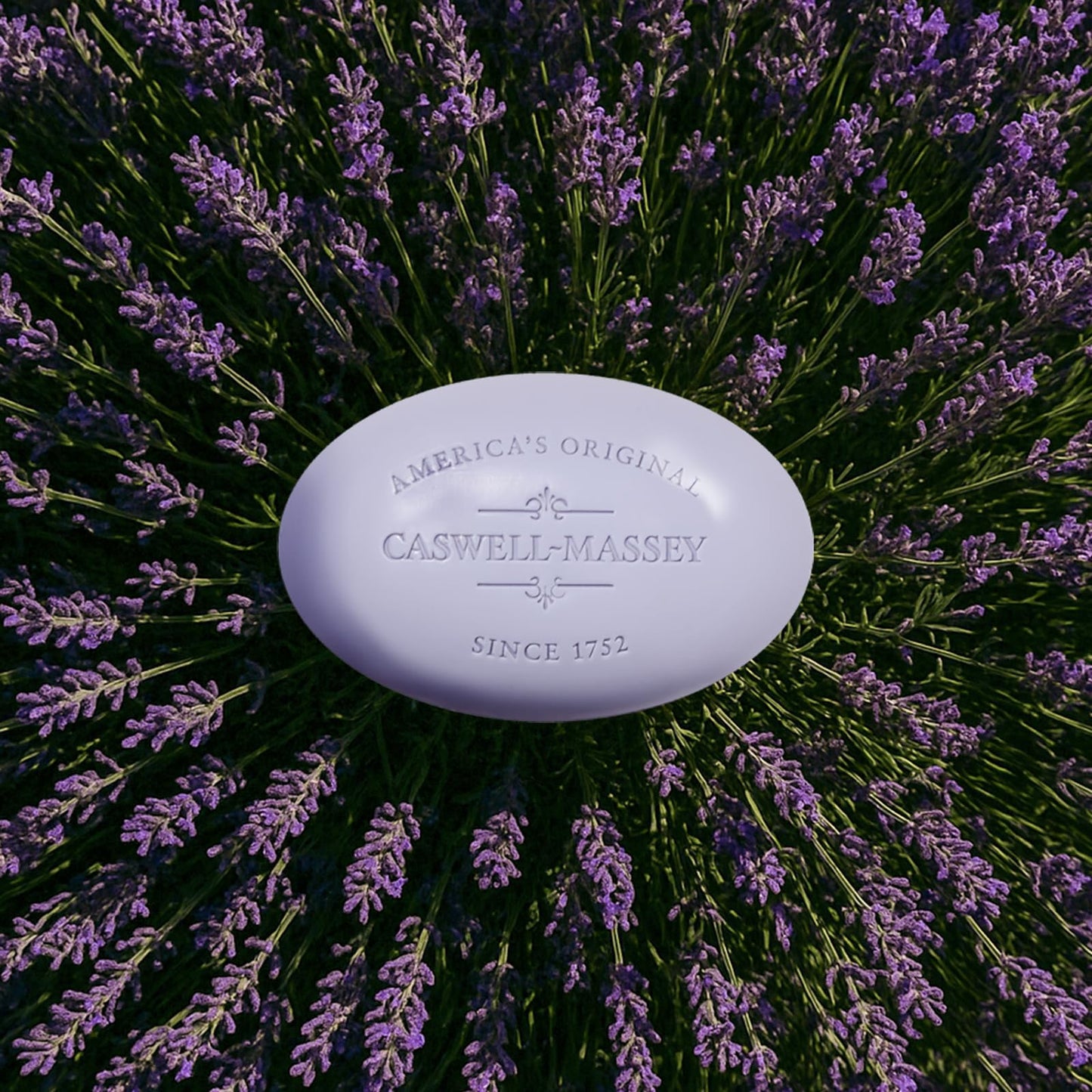 Caswell-Massey Lavender Natural Bar Soap for Women, Moisturizing Triple-Milled Body Soap for Bath, Face & Hands, Soothing Floral Scent, Plant-Based Beauty & Personal Care Caswell-Massey