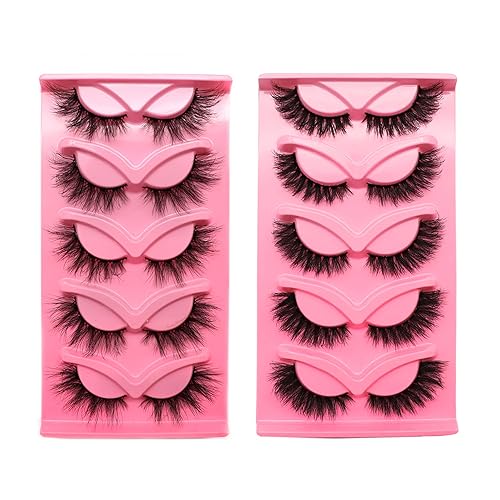 beautykaisen 10Pair 3D False eyelash book Cat Eye Look Fluffy Wispy Soft Reusable Makeup Thick Fake Eyelashes(601+628) Beauty & Personal Care beautykaisen