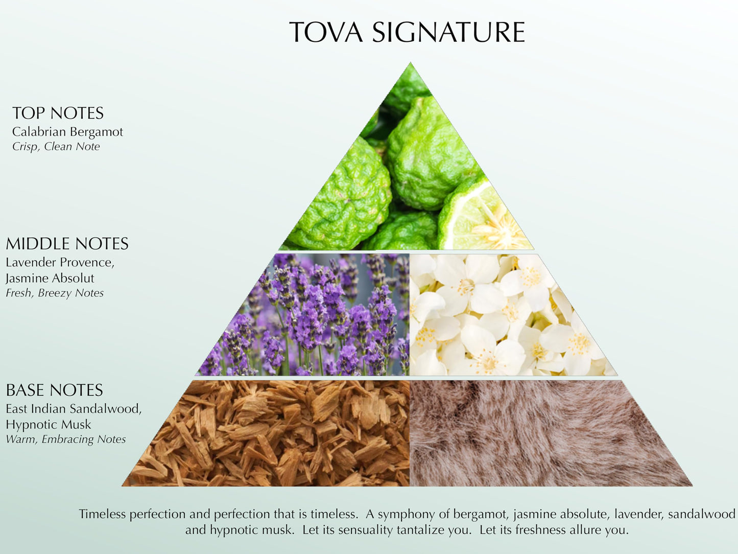Tova Signature Body Velvet Lotion - Advanced Hydrating Moisturizer for Women - Glow-Enhancing, USA-Made & Cruelty-Free - 6.7 fl oz Beauty & Personal Care Tova
