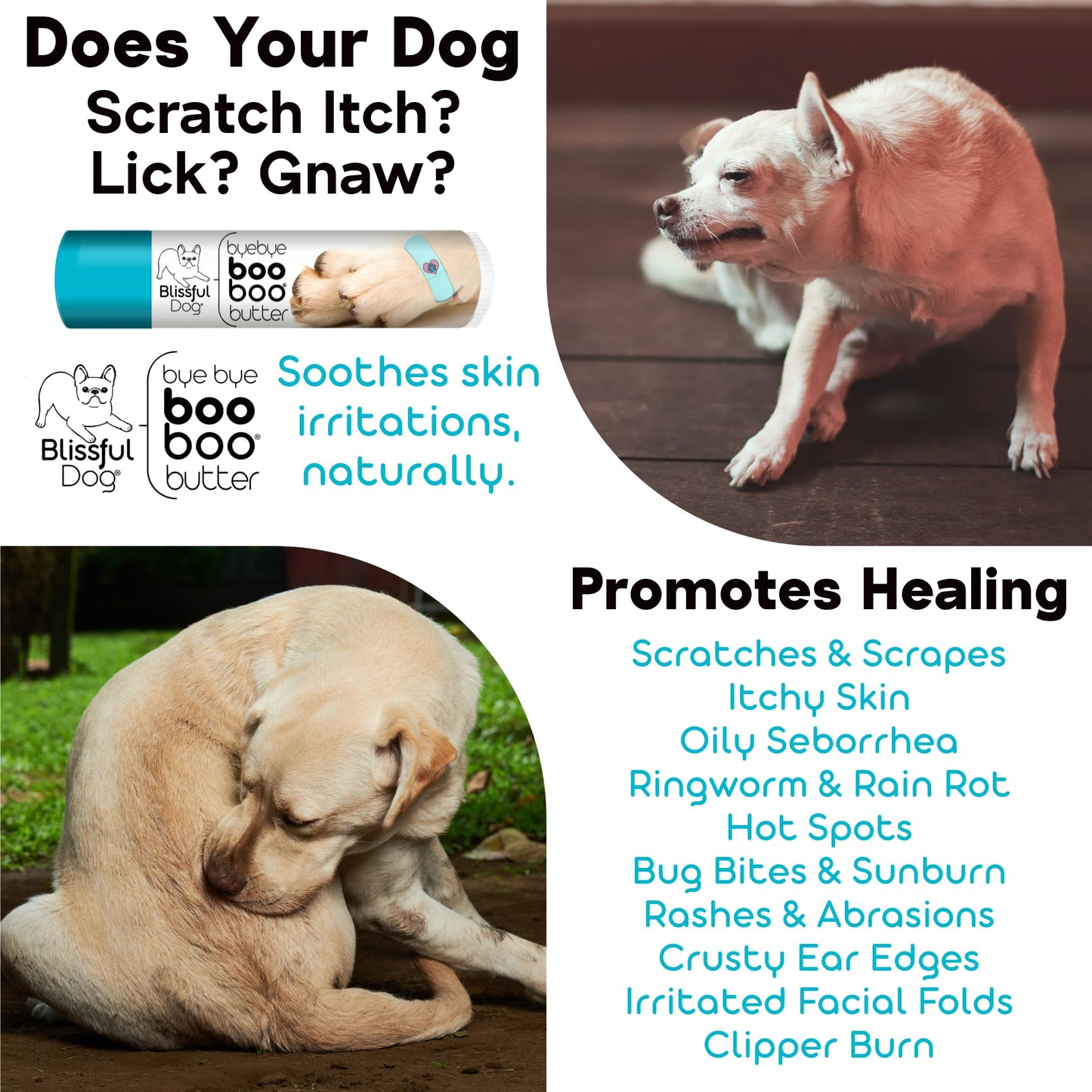 The Blissful Dog 2 oz TIN Basset Hound Booboo Butter Beauty and Personal Care The Blissful Dog