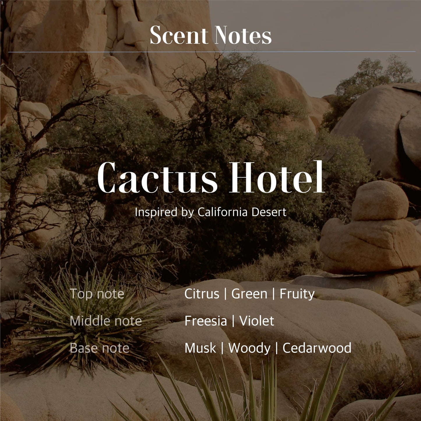 Fountain of Waters Cactus Hotel Almond Hand Wash 300ml, Vegan Cruelty-Free Premium hand Wash with Almond oil and shell, Crafted in Korea Beauty & Personal Care FOUNTAIN OF WATERS CALIFORNIA