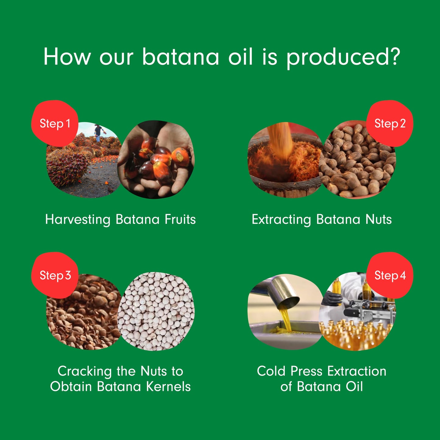 Dersie Batana Oil for Hair Growth: Dr Sebi Organic Raw Batana Oil from Honduras - 100% Pure & Natural - For Thicker & Stronger Hair - 4 FL OZ Beauty & Personal Care Dersie