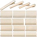 Duck Bill Hair Clips, 120pcs Gold Alligator Bow Clips Metal Single Prong Hair Curl Clips Flat Alligator Clips for Hair Styling Accessories or DIY Beauty & Personal Care BronaGrand