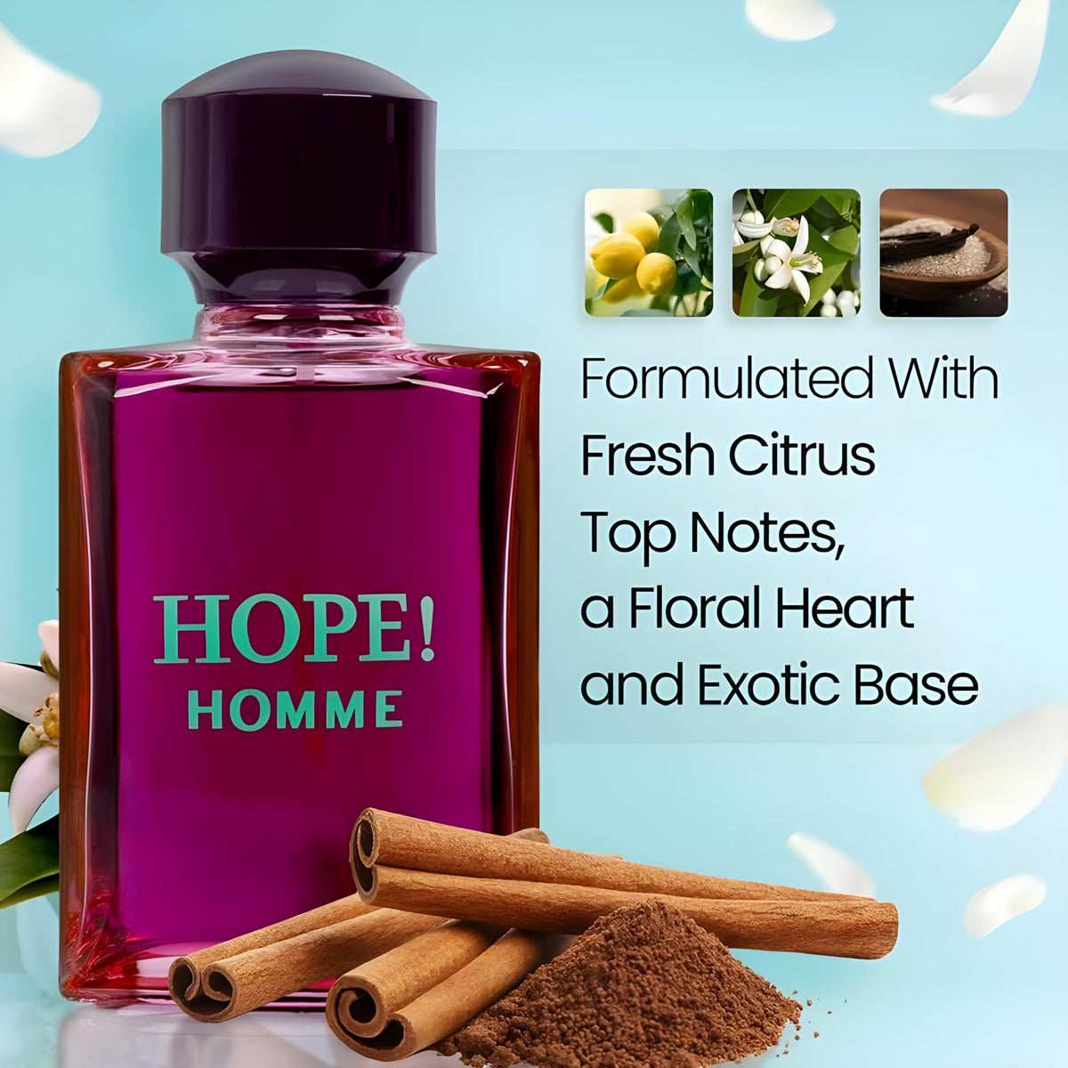 Secret Plus HOPE! HOMME Eau de Parfum for Men 3.4 Fl Oz Beauty & Personal Care Secret Plus