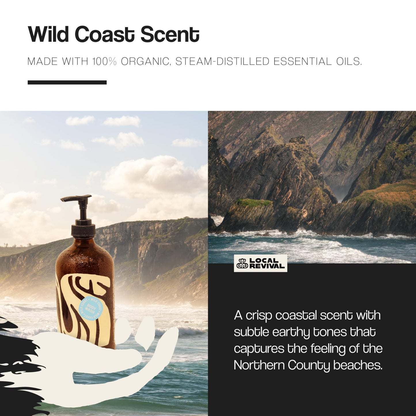 Local Revival Tallow and Honey Body Wash - Wild Coast - Beef Tallow with Honey, Olive Oil, Shea Butter and Jojoba Oil - Moisturizing Body Wash for Men Beauty & Personal Care Local Revival
