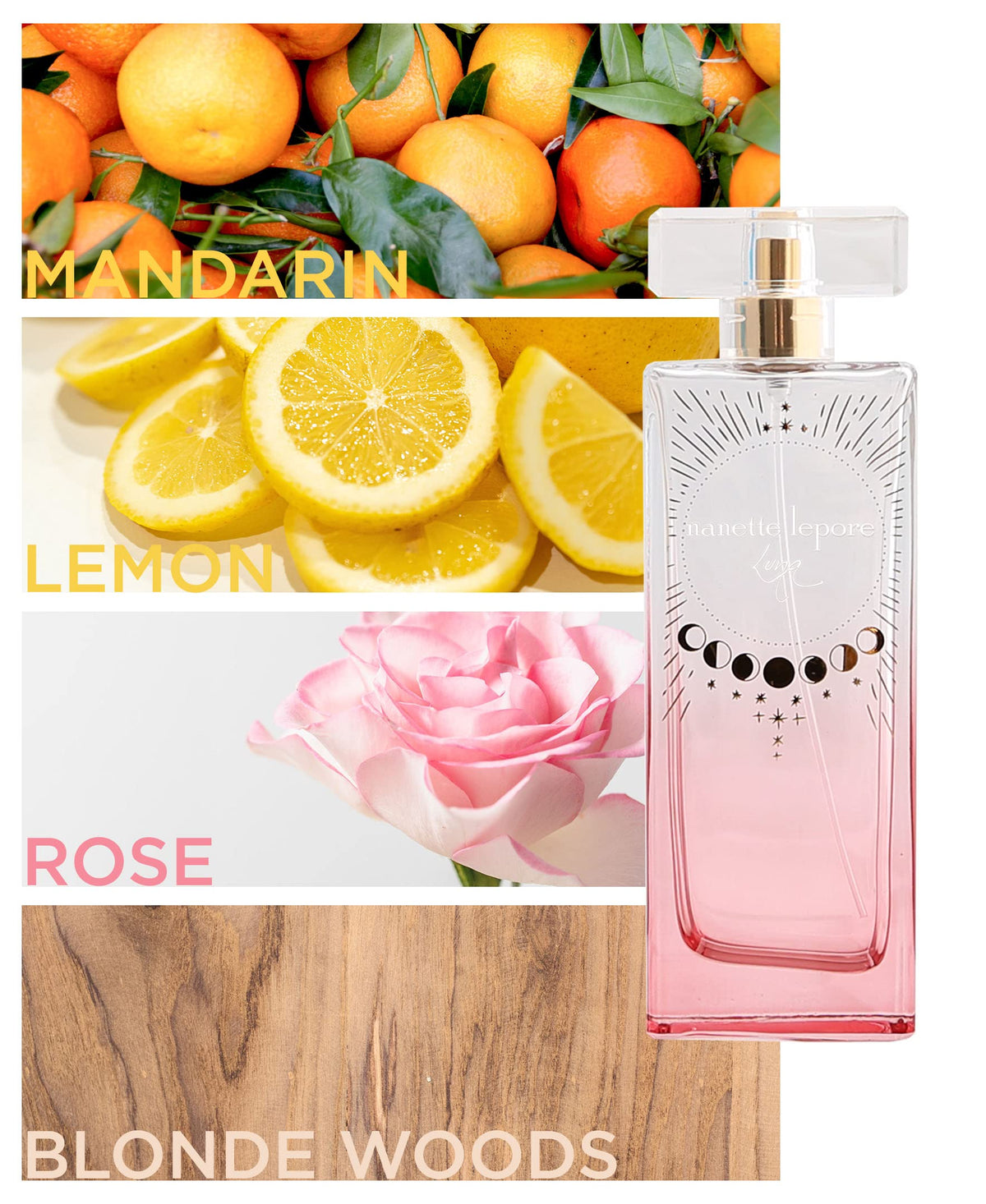 Luna by Nanette Lepore Eau de Parfum, 3.4 fl. oz. Beauty & Personal Care Nanette Lepore