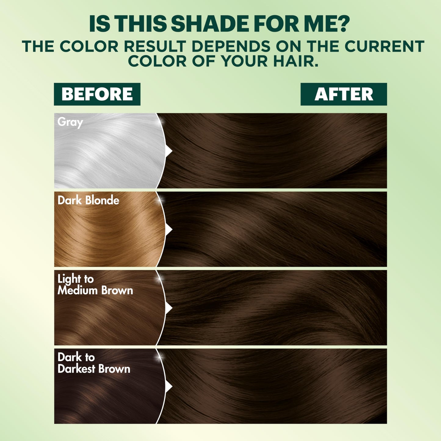 Garnier Nutrisse Ultra Coverage Hair Color, Permanent Hair Dye for Up to 8 Weeks of Stubborn Gray Coverage, Vegan & Cruelty-Free, 500 Deep Medium Beauty & Personal Care Garnier
