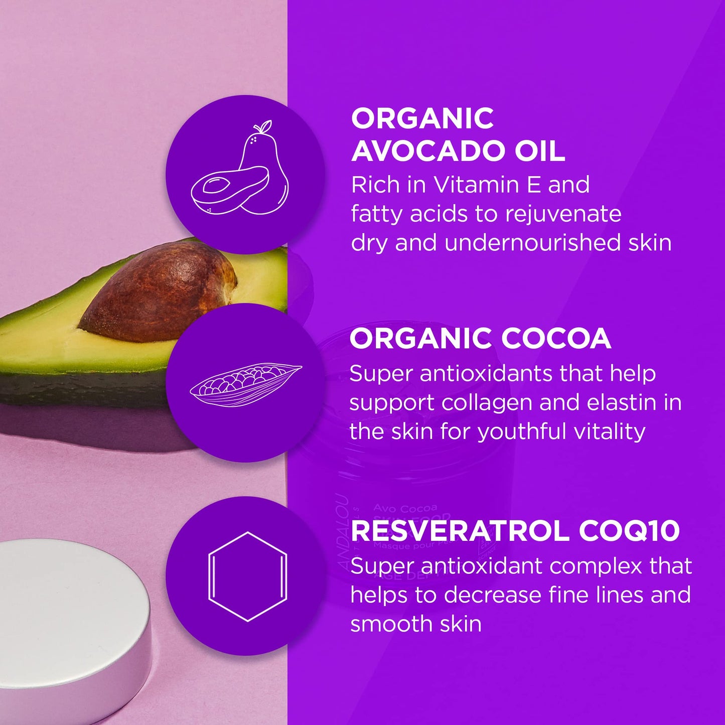 Andalou Naturals Facial Mask, Avo Cocoa Skin Food, 1.7 Ounce Beauty & Personal Care Andalou Naturals