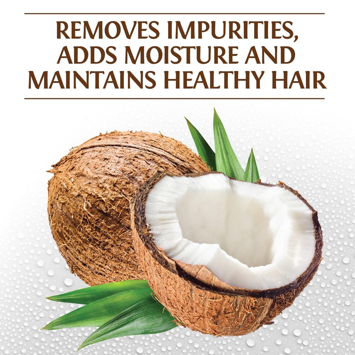 BioSilk Silk Therapy with Natural Coconut Oil Moisturizing Shampoo, 12 Oz