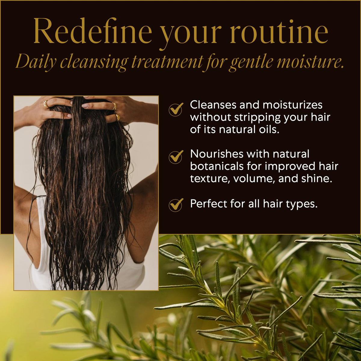 WEN 319 by Chaz Dean Daily Cleansing Treatment - Cleansing Conditioner for Hair, Shampoo & Conditioner Cowash for Fine or Curly Hair, Co Wash with