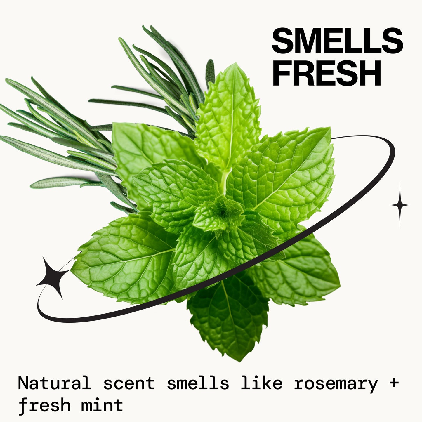 Rosemary Mint Scalp Care Shampoo & Conditioner Set - Clean Vegan Shampoo & Conditioner for Oily Or Flaky Scalp (All Hair Types), A Balanced, Soothed Beauty & Personal Care Pacifica
